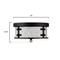 Westinghouse Fixture Ceiling LED Flush-Mount 60W 2L Callowhill 13In Mt Bl Anq Ash Sd Glass 6126100 - alternate 6